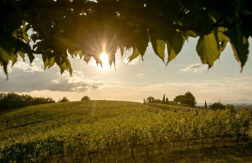 Le Fonti a San Giorgio - Foto 14