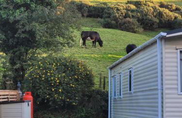 The Rabbit Hill Holiday Home - Foto 11