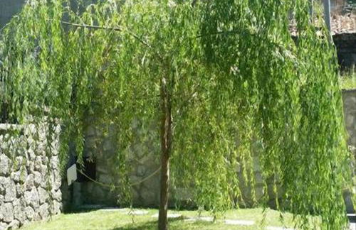 La Villetta In Montagna - Foto 4