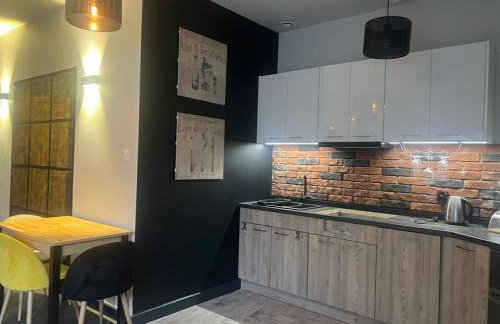 Apartamenty Terminal Charzykowy - Foto 15