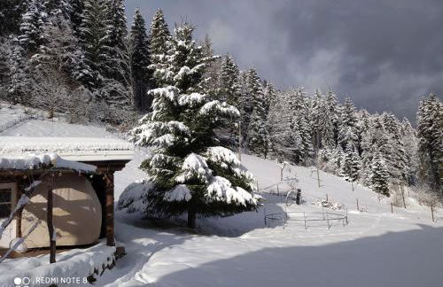 Forsthaus Trabronn | Sauna | eingezäunt | Grillplatz - Photo 55