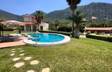 Psatha Villa's - Foto 11