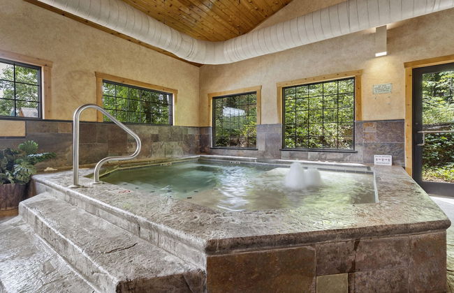 The Village At Indian Point Resort - Foto 54