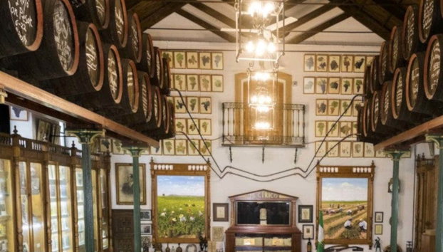 Toro Albala Winery Guided Tour - Photo 2, Winery in Aguilar de la Frontera