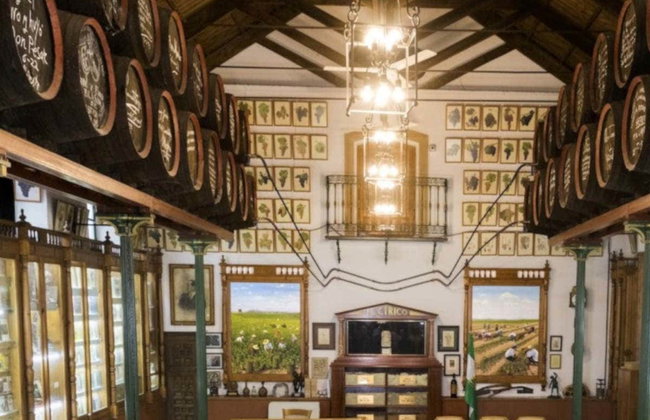 Toro Albala Winery Guided Tour - Photo 2