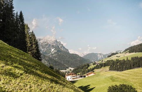 Biohof Untergröber - Foto 71