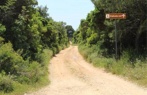 Eco Secluded apartments Zabodarski - Foto 3