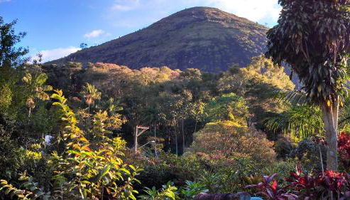 Casa de Araras - Foto 2