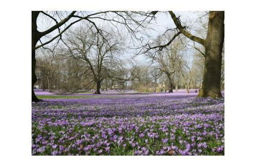 Doc un Katt Comfortable holiday residence - Foto 15