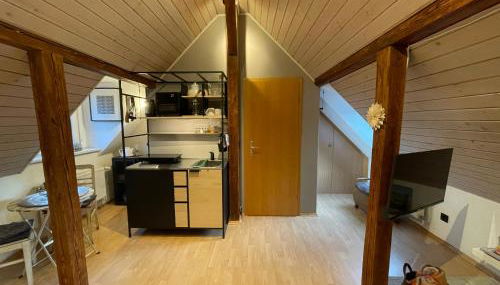 Modernes 1-Raum-Apartment - Foto 3, stove