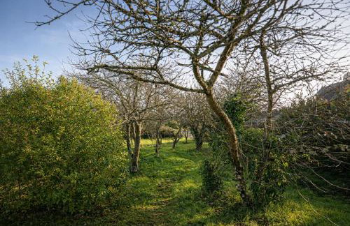 Maison bretonne au calme, vue imprenable sur la mer, grand jardin - Foto 21