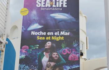 Apart Benálmadena with SWIMMING POOL open all year - Photo 50