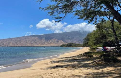 This place is different!! Award winning! Oceanfront, View View! - Foto 37