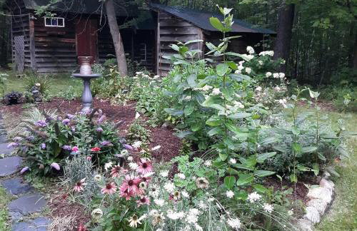 Deer Valley Retreat, Lovely Log Cabin with Fireplace & Garden Views- Perfect for a Relaxing Getaway! - Foto 21