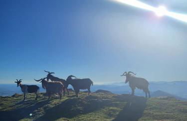 Appartement cosy au calme - Foto 16