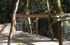 Reserva Pedra da Mata - Foto 10