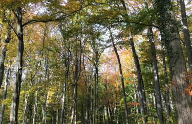 Ferienappartment mit Homeoffice, 2 Schlafzimmer mit Einzelbetten - Foto 30