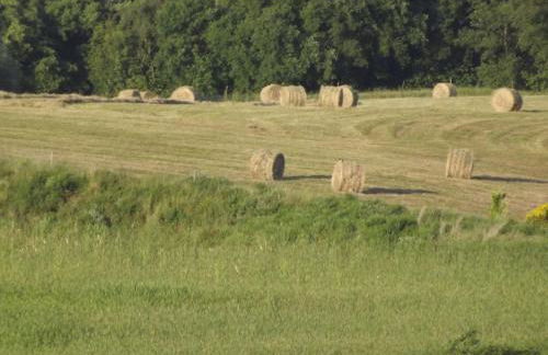 Apartment Flache Kornblume by Interhome - Foto 23