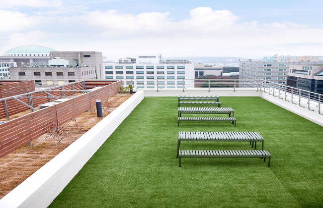 The Connoisseur Residence Hotel - Foto 35