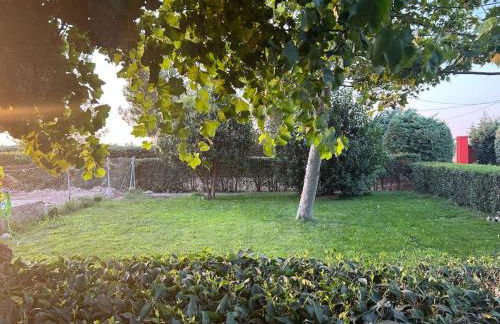 El Portachuelo - Foto 4