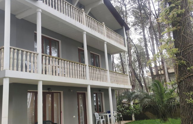 House by the sea Kaprovani Shekvetili Batumi - Photo 32