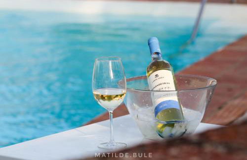 Horta das Laranjas - Foto 11