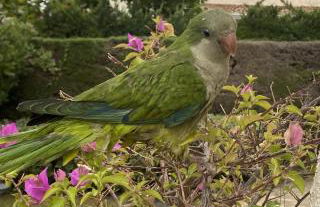 VILLA CATALUNYA - Photo 41