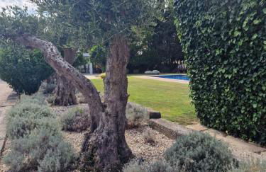 Casa Nikana - Foto 9