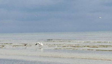 Achterwasser32 - Foto 3