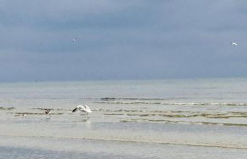 Achterwasser32 - Foto 3