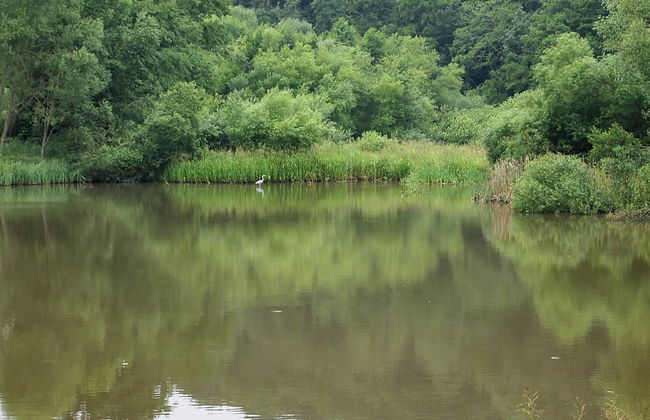 "Iorund" - 550m from the sea - Foto 10