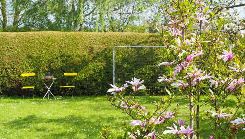 Jarmen Ferienwohnung - Foto 3, Garden