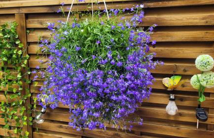 La bulle romantique - Foto 17