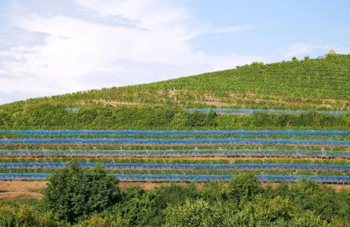 Haus Der Malerin Andrea Gawaz - Foto 13