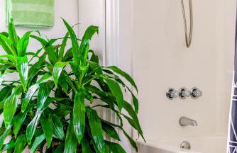 Jungle House Chillicothe Sleeps 24 Downtown Ohio Free Parking - Walk to Historic District - 5BR Luxury Home - Pet Friendly - King Beds - Over 5,800 Five Star Stays - Foto 49