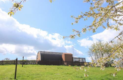 Cherry Pod 2 - Foto 3