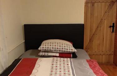 Dom z ogrodem w malowniczej okolicy Bieszczady - Foto 12