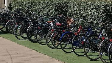 Atlantic Roseto sul mare - Foto 2