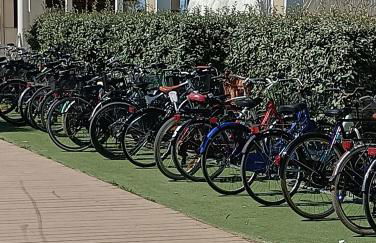 Atlantic Roseto sul mare - Foto 2