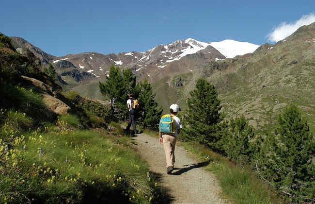 Apartment in Celledizzo Near Ski Area - Foto 25