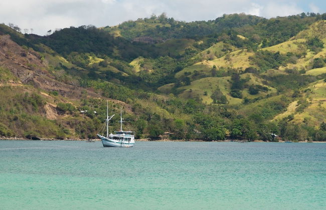 Royal Fortuna - Photo 16