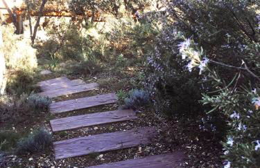 Casa Rural Lago Bolarque - Foto 31