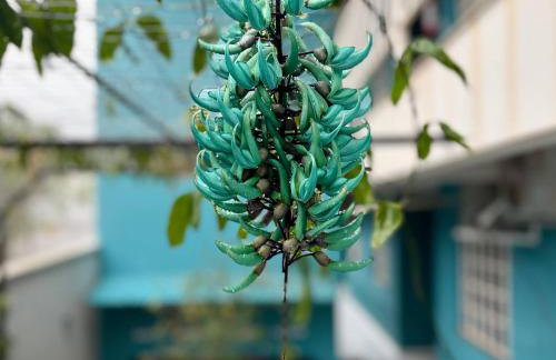 Studio Unimorada 102 - Foto 34