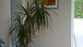 Gîte Harmony - Photo 4