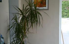 Gîte Harmony - Foto 4