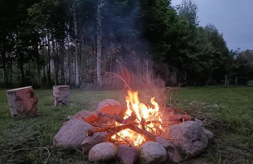 Siedlisko Brzozowe - Foto 7