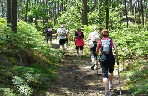 Appartement lumineux 4* pour 2 à Vittel, proche thermes, WiFi, parking gratuit - FR-1-589-745 - Foto 23