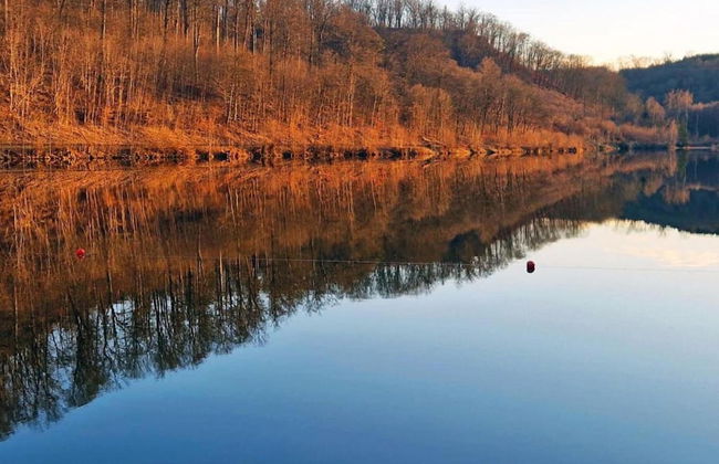 Cosy Holiday Home in Güntersberge Harz With Wood Stove & 2 Terraces - Foto 30