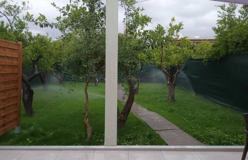 Olgas cozy home - Foto 36