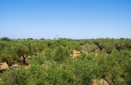 Messenian Serenity - Foto 42